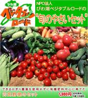 NPOˡ�ͤӤ�Х٥����֥�����ɤνܤ���ڥ��å�