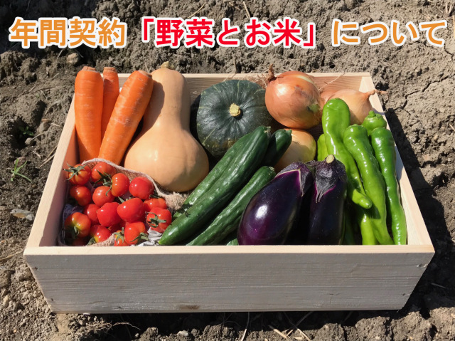 年間契約野菜